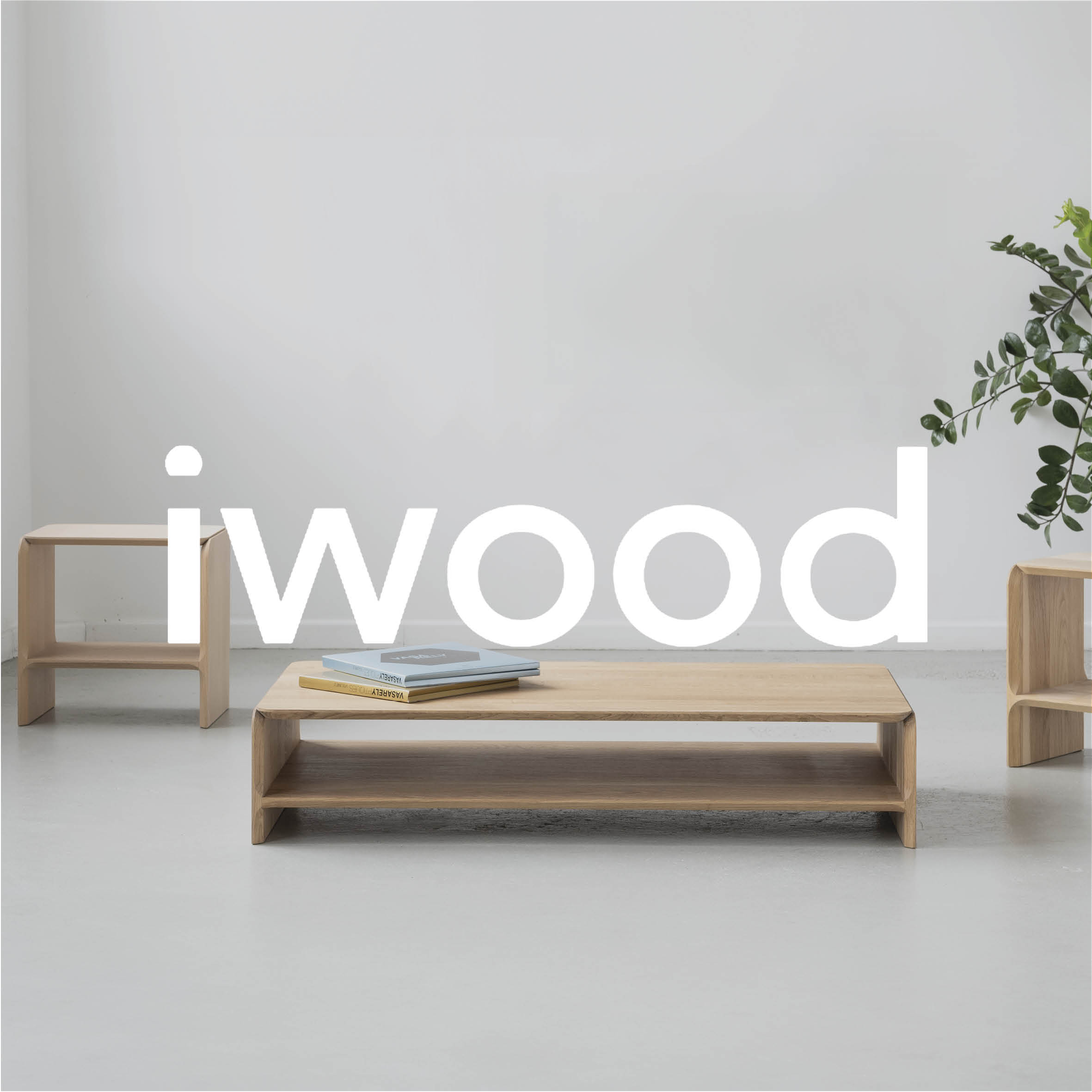 Tempo d'éco iWood